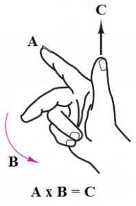 Pirate Image Hand Sign