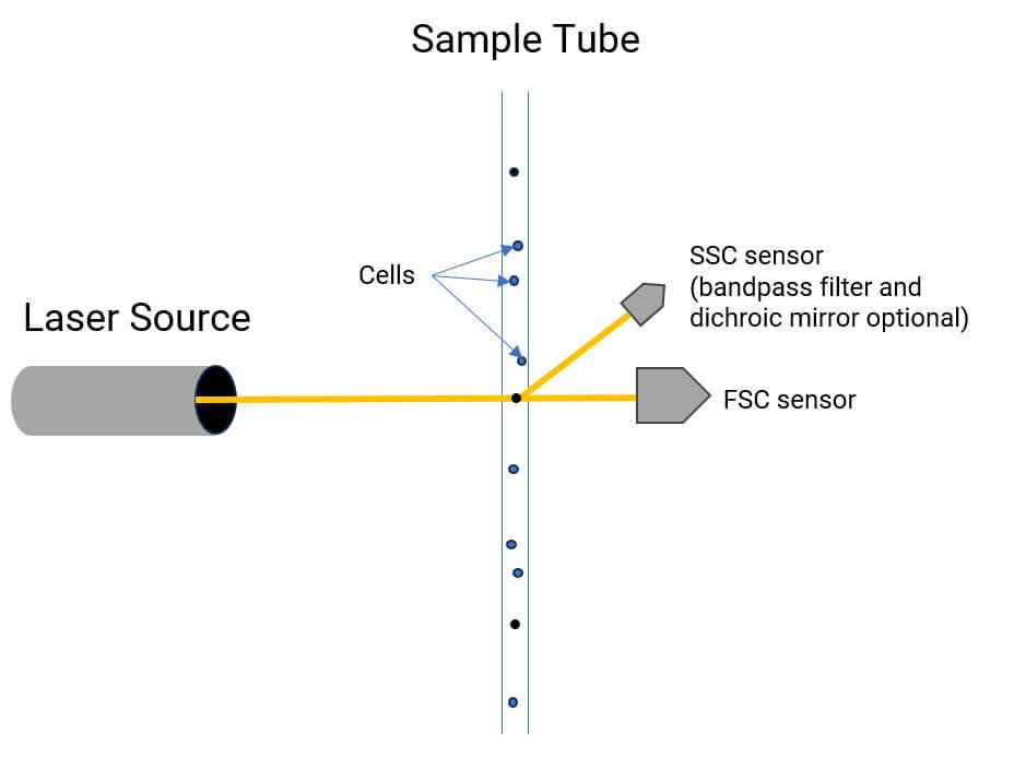 Basic Setup of Flow Cytometry