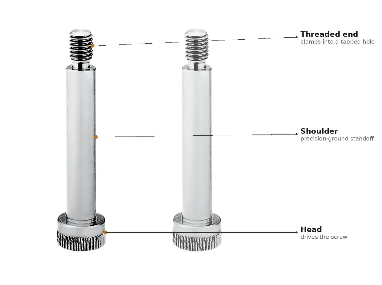 Shoulder screw anatomy
